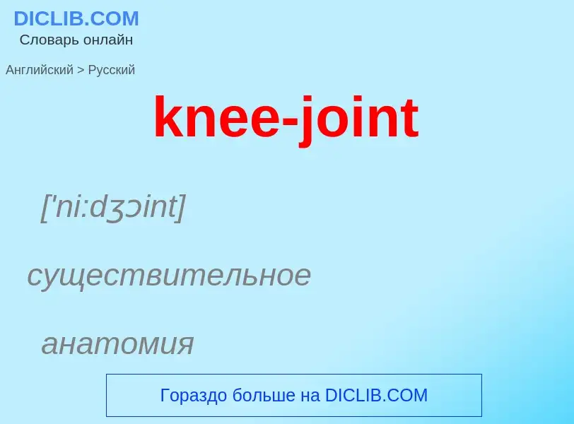 Как переводится knee-joint на Русский язык