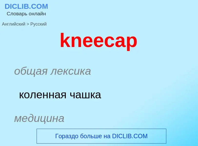 Как переводится kneecap на Русский язык