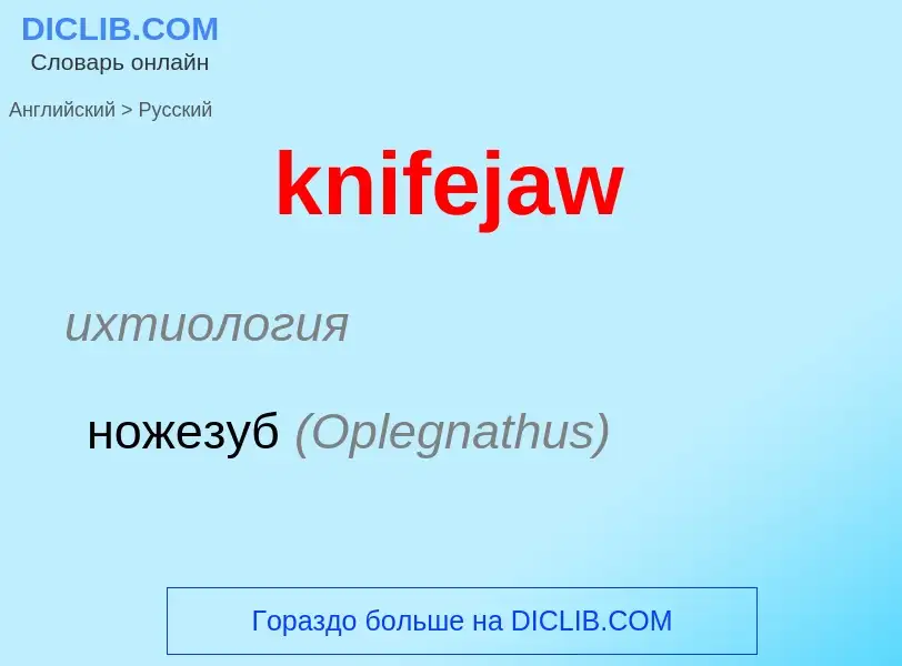 Как переводится knifejaw на Русский язык