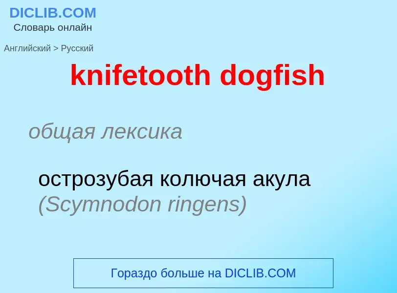 Как переводится knifetooth dogfish на Русский язык