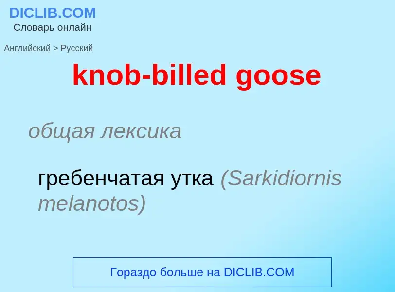 ¿Cómo se dice knob-billed goose en Ruso? Traducción de &#39knob-billed goose&#39 al Ruso