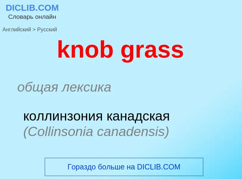 ¿Cómo se dice knob grass en Ruso? Traducción de &#39knob grass&#39 al Ruso