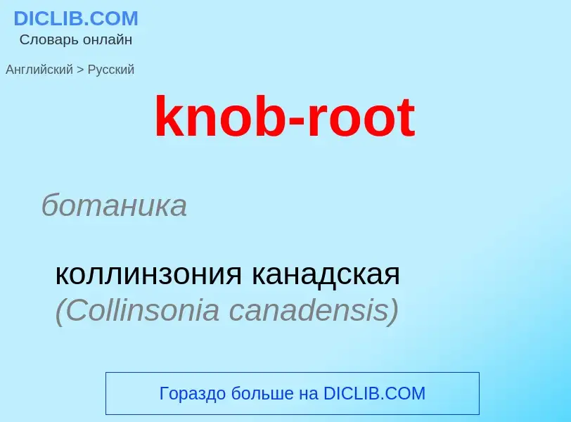 ¿Cómo se dice knob-root en Ruso? Traducción de &#39knob-root&#39 al Ruso