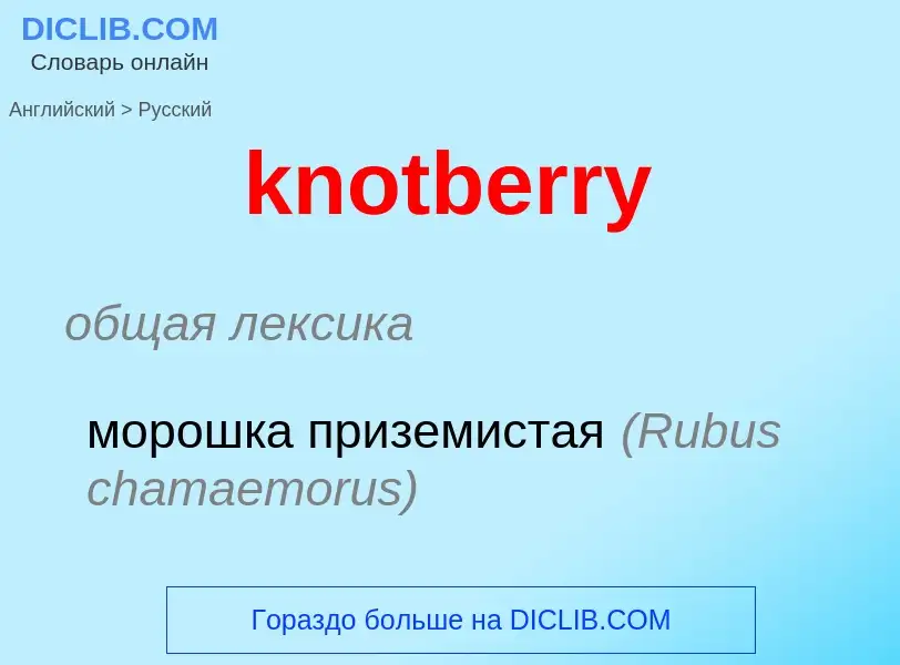 Μετάφραση του &#39knotberry&#39 σε Ρωσικά