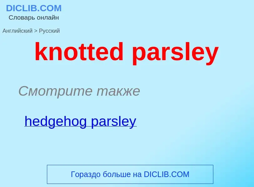 Как переводится knotted parsley на Русский язык