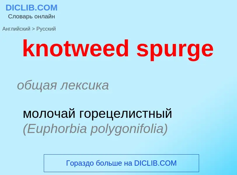 Μετάφραση του &#39knotweed spurge&#39 σε Ρωσικά