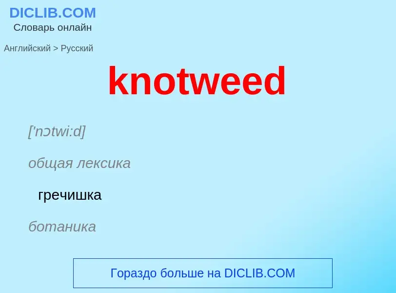 Μετάφραση του &#39knotweed&#39 σε Ρωσικά