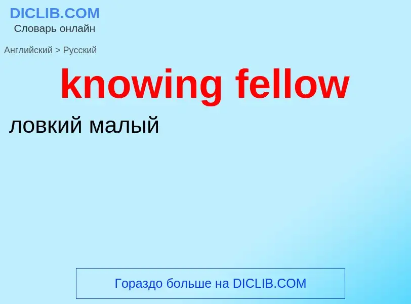 What is the Russian for knowing fellow? Translation of &#39knowing fellow&#39 to Russian