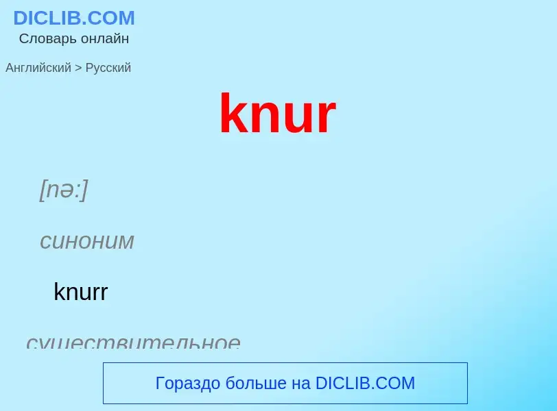 Как переводится knur на Русский язык