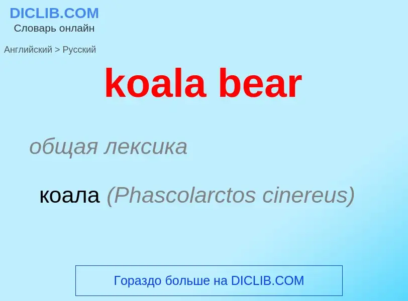 Как переводится koala bear на Русский язык