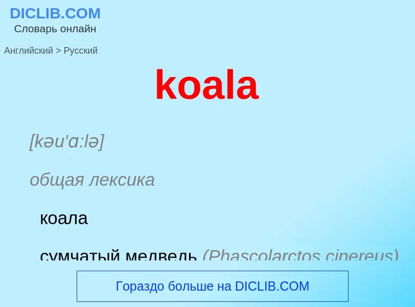 Как переводится koala на Русский язык