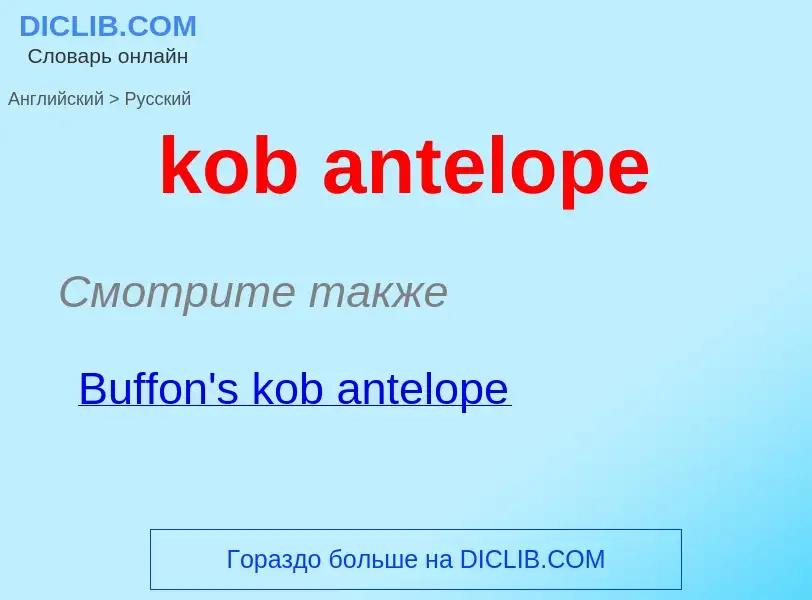 Как переводится kob antelope на Русский язык