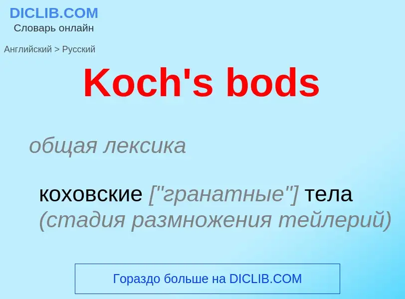 Как переводится Koch's bods на Русский язык