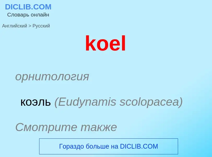 Как переводится koel на Русский язык