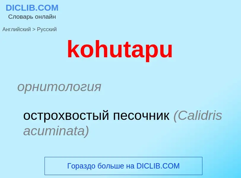 Как переводится kohutapu на Русский язык