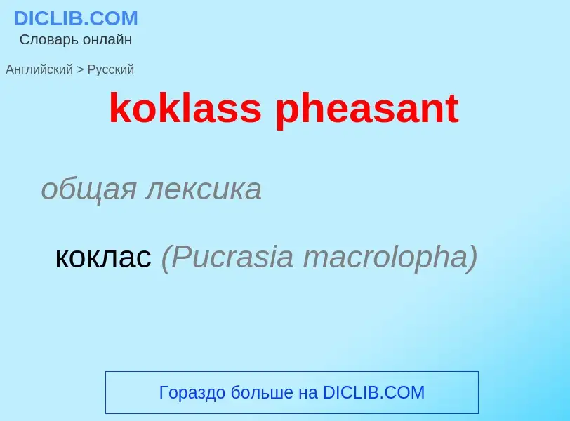 Como se diz koklass pheasant em Russo? Tradução de &#39koklass pheasant&#39 em Russo