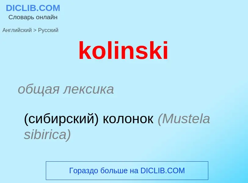 Как переводится kolinski на Русский язык