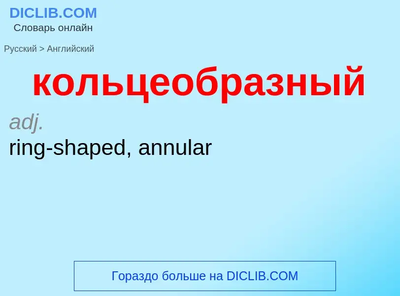 Как переводится кольцеобразный на Английский язык