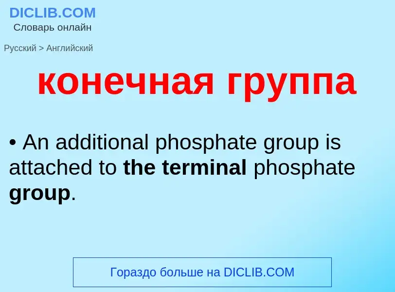 Как переводится конечная группа на Английский язык