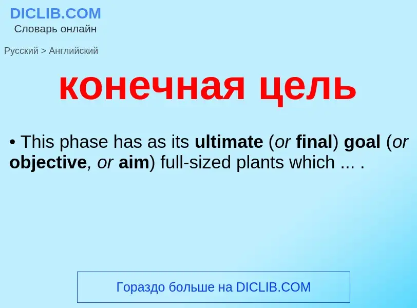 Как переводится конечная цель на Английский язык