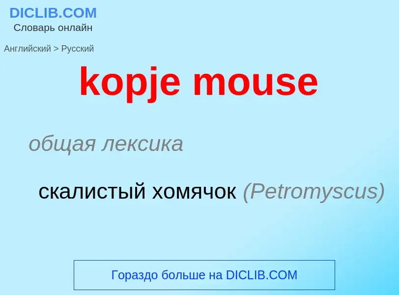 Как переводится kopje mouse на Русский язык