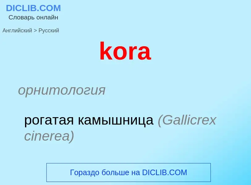 Как переводится kora на Русский язык