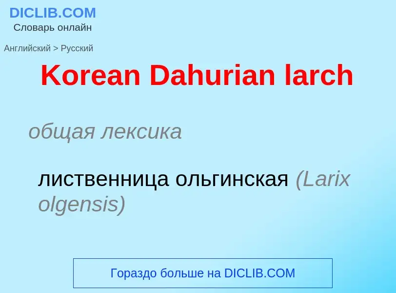 Как переводится Korean Dahurian larch на Русский язык