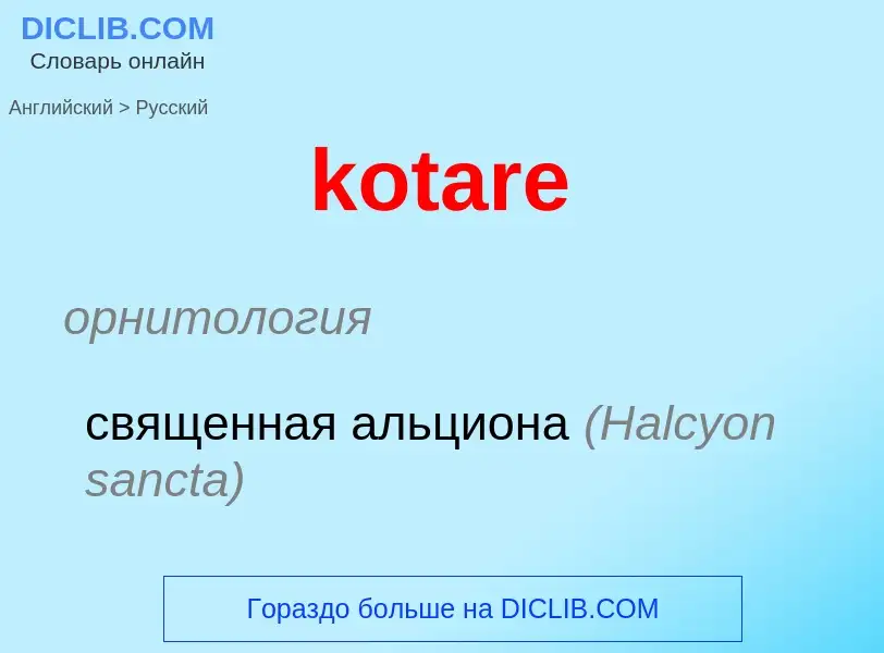 Как переводится kotare на Русский язык