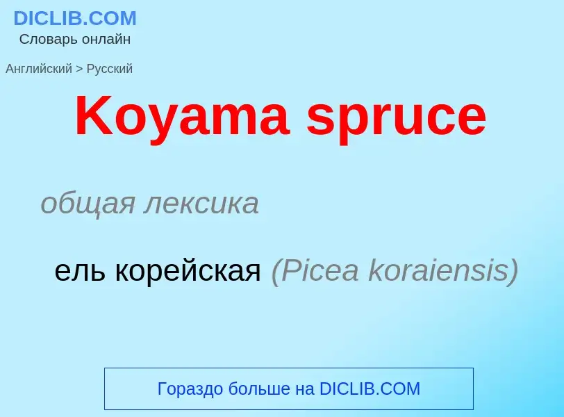 Как переводится Koyama spruce на Русский язык