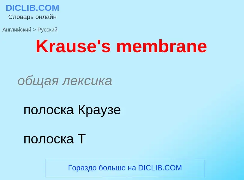 Как переводится Krause's membrane на Русский язык