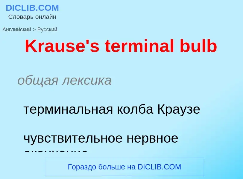 Как переводится Krause's terminal bulb на Русский язык