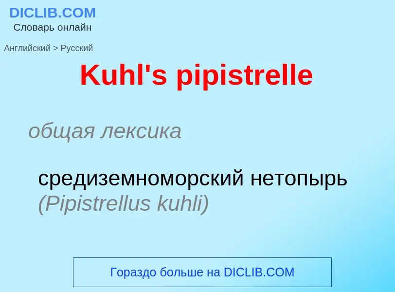 Как переводится Kuhl's pipistrelle на Русский язык