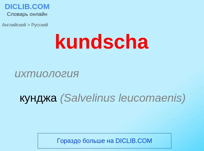 Como se diz kundscha em Russo? Tradução de &#39kundscha&#39 em Russo