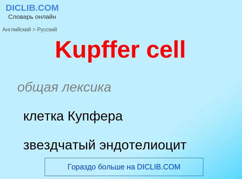 Как переводится Kupffer cell на Русский язык