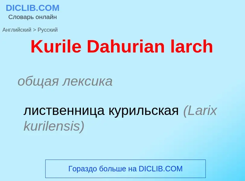 Как переводится Kurile Dahurian larch на Русский язык