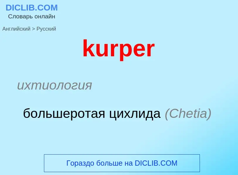 Как переводится kurper на Русский язык