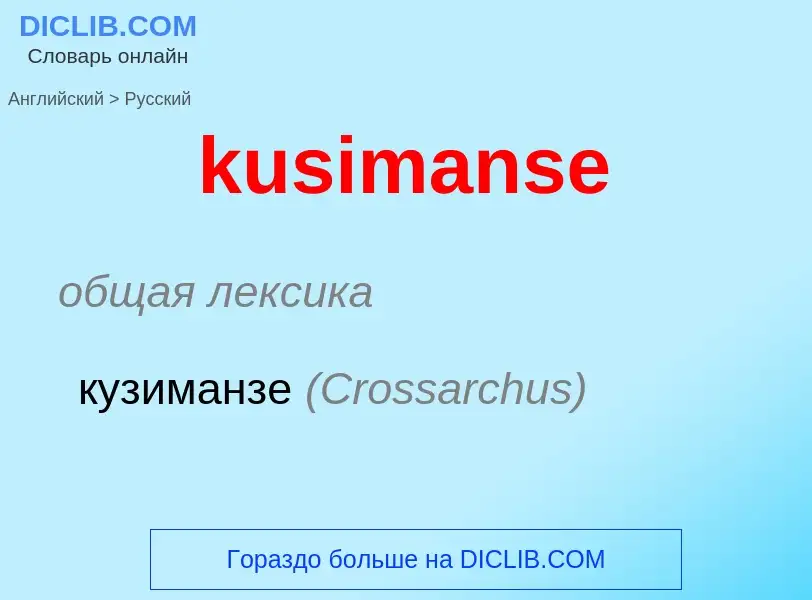 Как переводится kusimanse на Русский язык