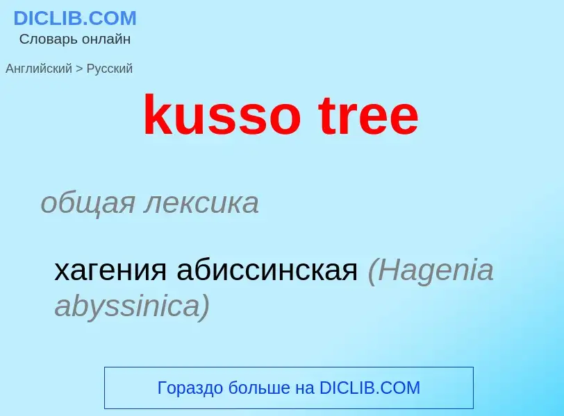 Как переводится kusso tree на Русский язык