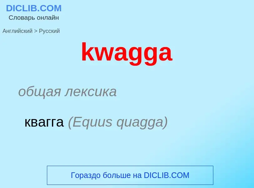 Как переводится kwagga на Русский язык