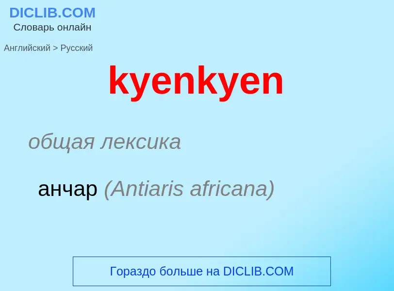 Как переводится kyenkyen на Русский язык