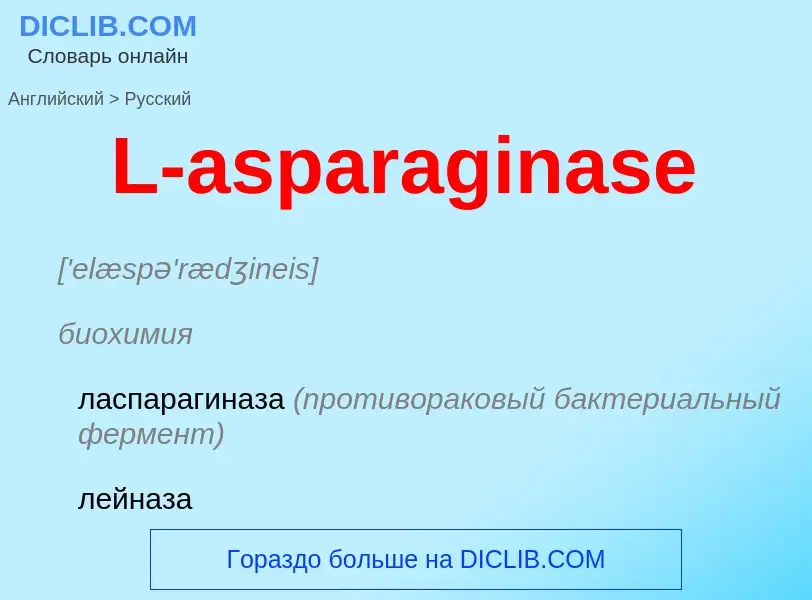 Traduzione di &#39L-asparaginase&#39 in Russo