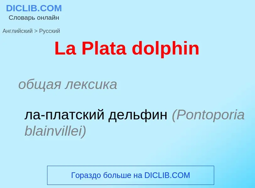 ¿Cómo se dice La Plata dolphin en Ruso? Traducción de &#39La Plata dolphin&#39 al Ruso