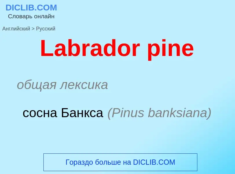 Traduzione di &#39Labrador pine&#39 in Russo