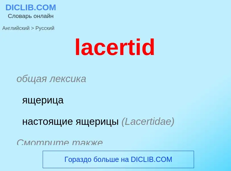 Как переводится lacertid на Русский язык