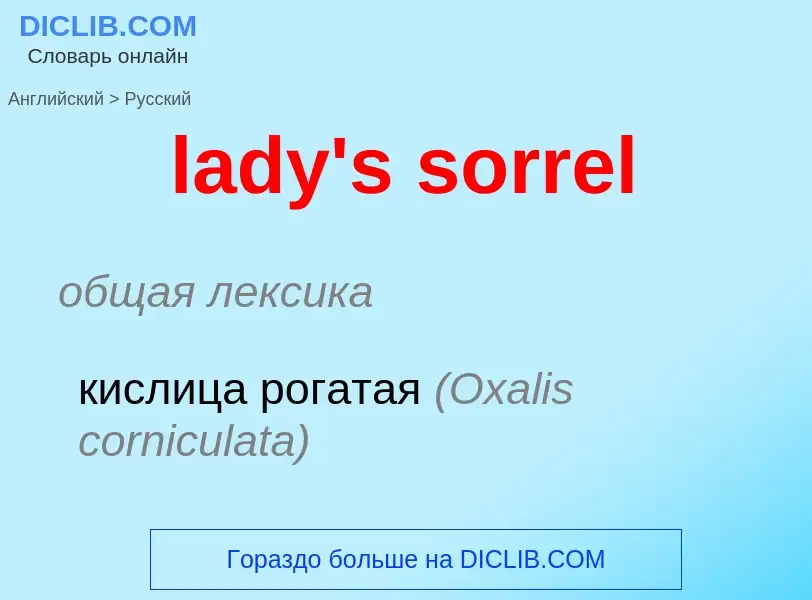 Como se diz lady's sorrel em Russo? Tradução de &#39lady's sorrel&#39 em Russo