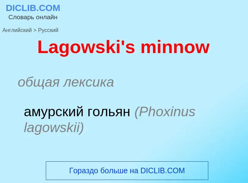 Traduzione di &#39Lagowski's minnow&#39 in Russo