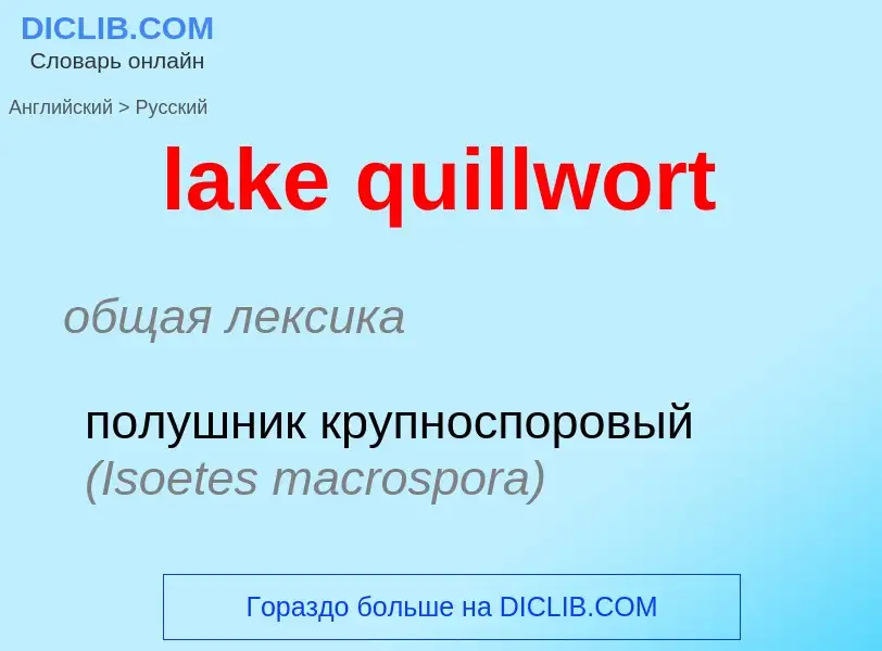 Como se diz lake quillwort em Russo? Tradução de &#39lake quillwort&#39 em Russo