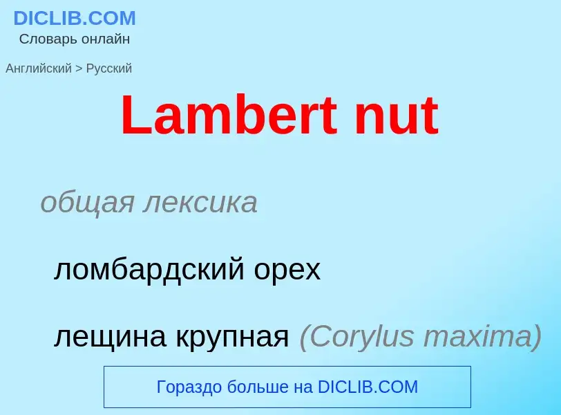 Как переводится Lambert nut на Русский язык