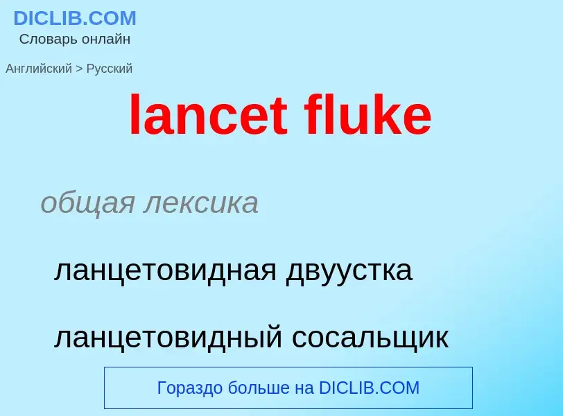 Traduzione di &#39lancet fluke&#39 in Russo