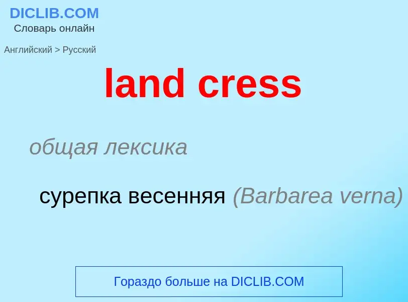 Vertaling van &#39land cress&#39 naar Russisch